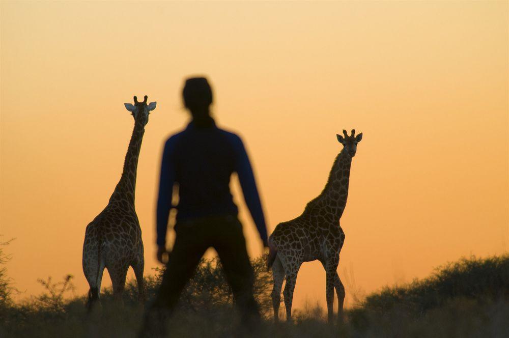 Kubu Safari Lodge Hoedspruit Kültér fotó