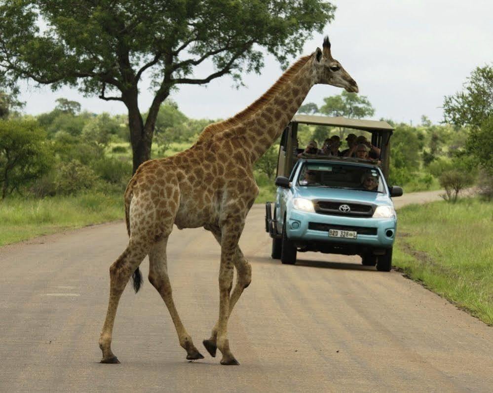 Kubu Safari Lodge Hoedspruit Kültér fotó